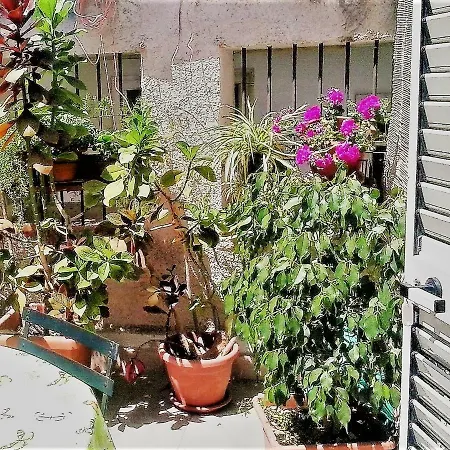 Apartment Casa Elena Al Duomo *